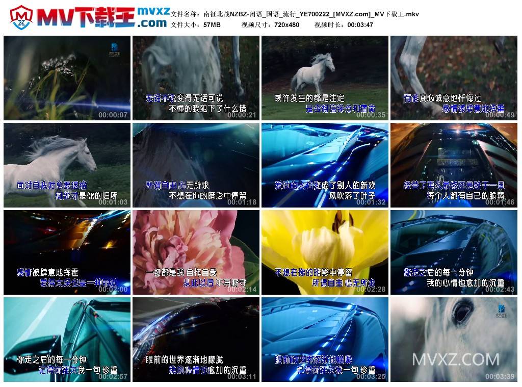 南征北战NZBZ-闭语_国语_流行_YE700222